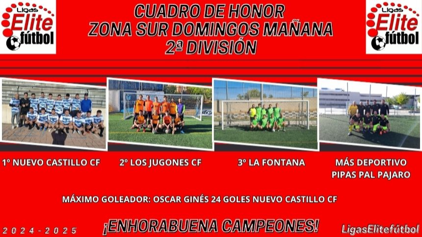 CUADRO DE HONOR. ZONA SUR DOMINGO MAÑANA 2ª DIVISIÓN